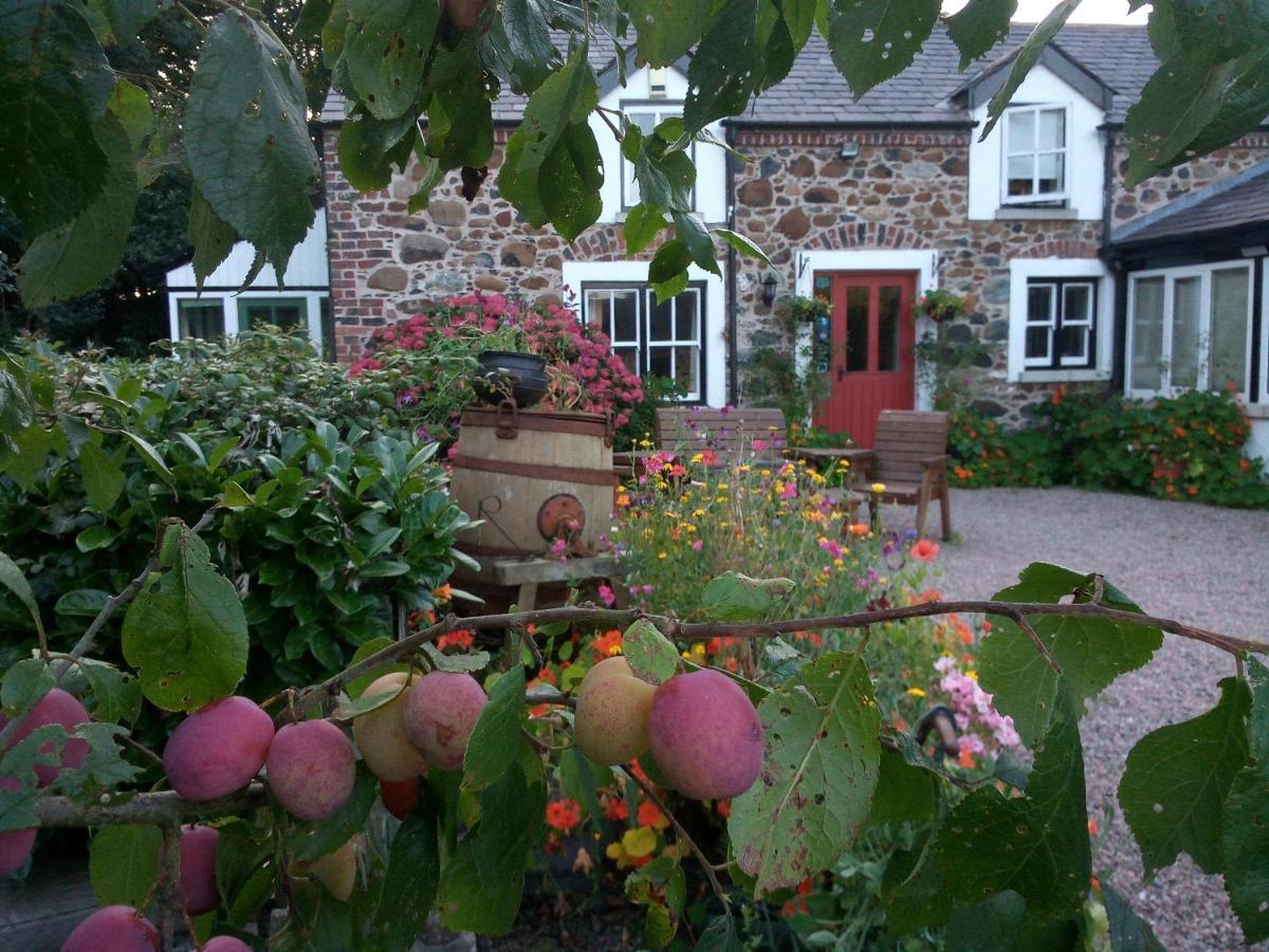 Berwick Hall Cottage Moira  Kültér fotó