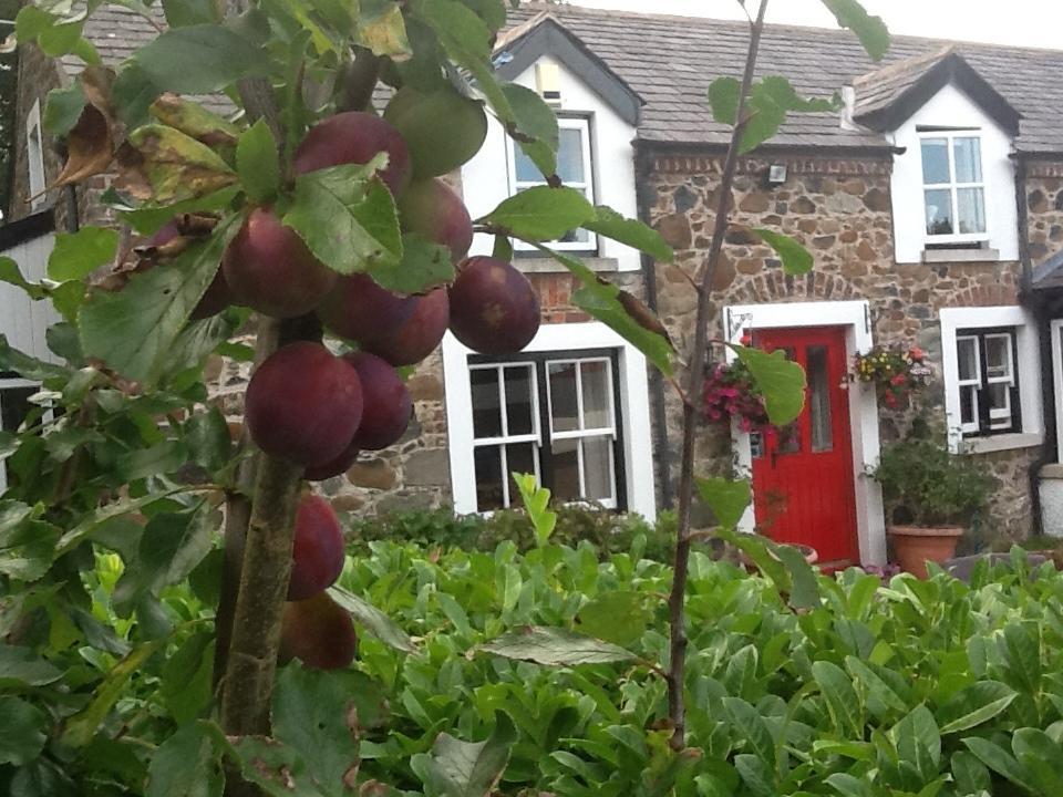 Berwick Hall Cottage Moira  Szoba fotó